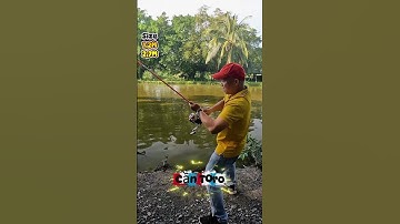 🎣 CẦN TORO ĐẶC 2 KHÚC – GIÁ RẺ, CÂU SƯỚNG TAY #Shorts