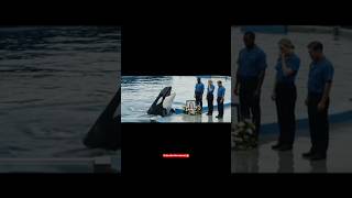 Orca Is Crying At Jessica Death