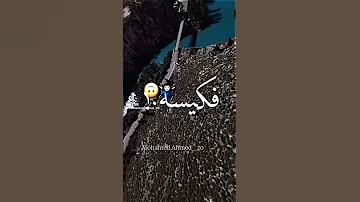 مهرجان ماشي بأزازا في كيسه سمرا 