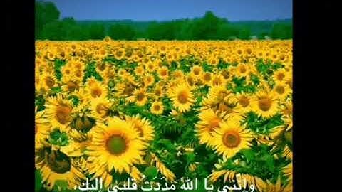 سورة النحل | ارح سمعك💛.