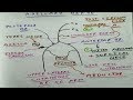 Axillary / Circumflex nerve ( Chart ) and it's clinical