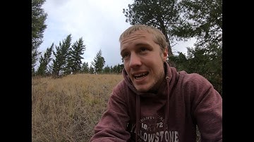 Speed of Implementation