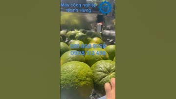 (TEST) MÁY RỬA BƯỞI CÔNG NGHIỆP - MÁY RỬA TRÁI CÂY CÔNG NGHIỆP SỤC OZONE GIÁ RẺ TẠI XƯỞNG