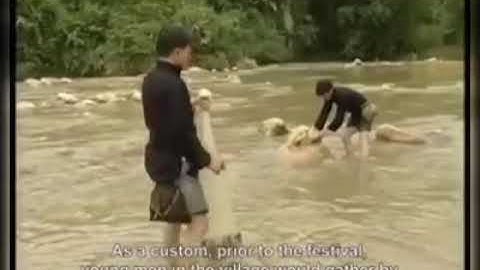 Tai news:Chiềng xíp xí Tay đăm Mương Lo-Tết xíp xí Thái đen Mường Lò