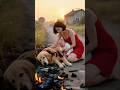 火灾无情 金毛为救小宝宝倒下了 Funny 燕趙金洋 Pets 黃狗 正能量剧情 Goldenretriever 老友狗狗 Animals Movie Cute 火灾无情 金毛为救小宝宝倒下了 Funny 燕趙金洋 Pets 黃狗 正能量剧情 Goldenretriever 老友狗狗 Animals Movie Cute