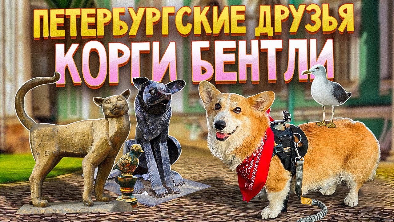 День с корги бентли
