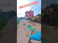 Dog Catch Fail Dog Catch #shorts #dogpublicsafety #dogcatching #viral
