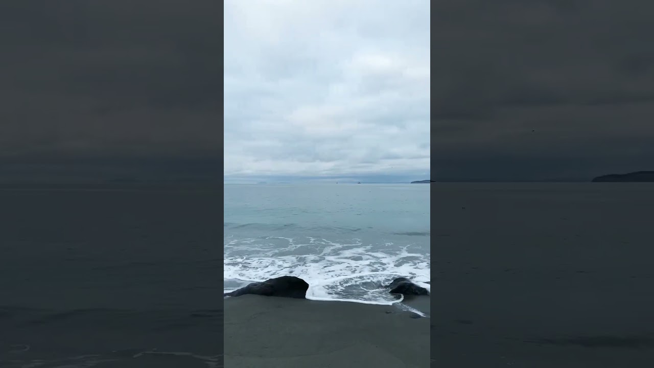 One of the Best beaches in Washington 🥹🌊