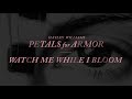 Hayley Williams - Watch Me While I Bloom [Official Audio]