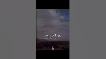 قراءه بصوت القارئ محمد برهجي❤️ #قرآن #قران_كريم #تلاوة #تلاوة_خاشعة#محمد_برهجي