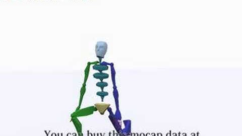 pay motion capture data Karate  -zenkutudachi-