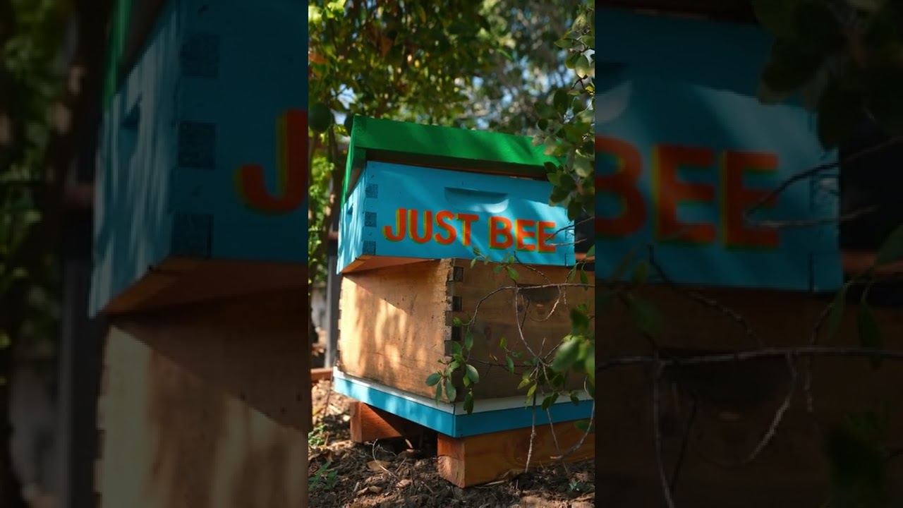 An Urban Farm Buried in the Heart of Los Angeles