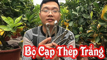 Bộ Cạp Thép Trắng Bonsai Đài Loan Thép Ko Rỉ