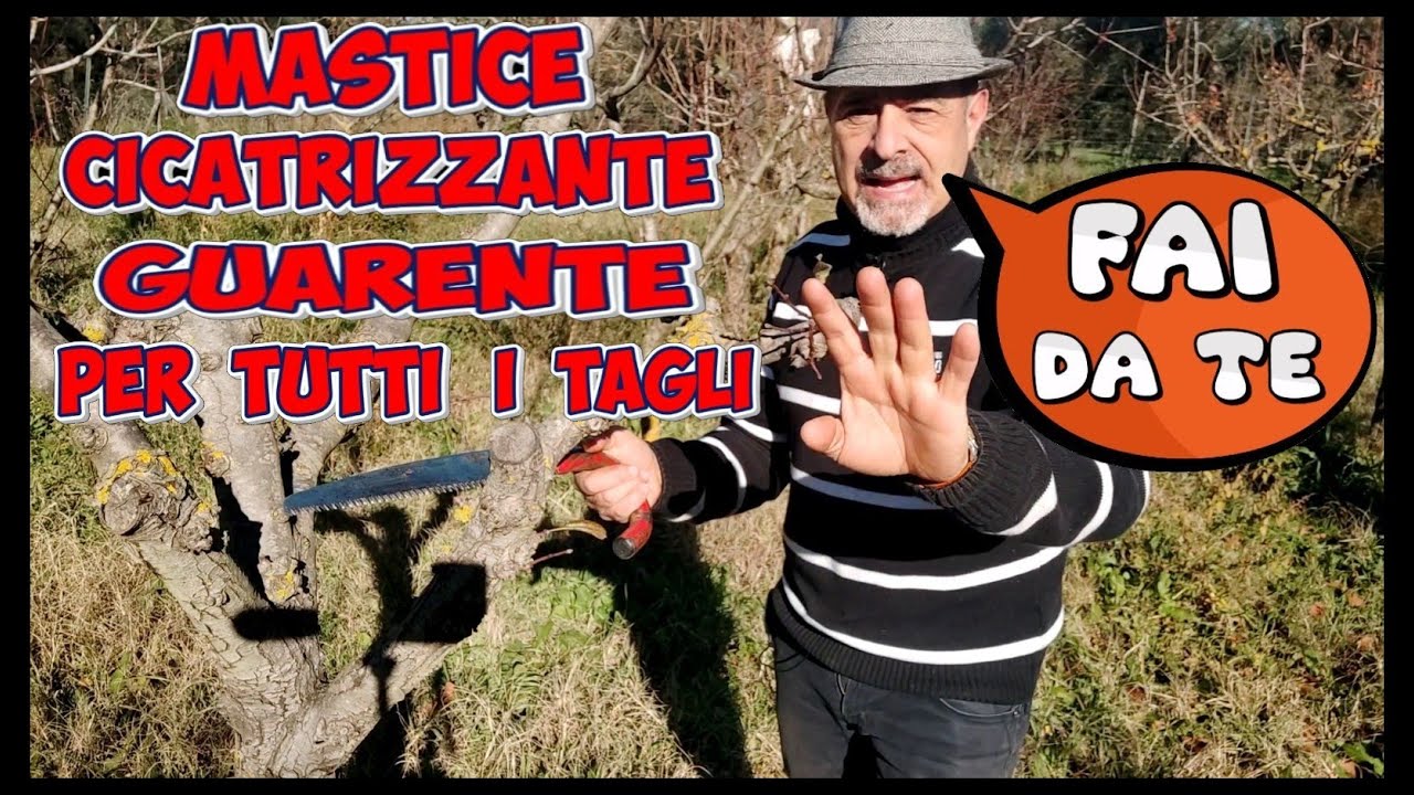 MASTICE PER INNESTI, POTATURE, PASTA CICATRIZZANTE PIANTE SEPLANT Sepran 250 Gr