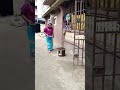 who tell this boy 😂🤓#funny #comedy #fypシ #viral