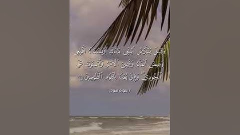 القارئ / يحيى عبدالفتاح وما تيسر من سورة هود