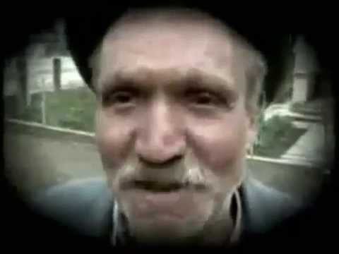 cornelia catanga tiganii si internetul