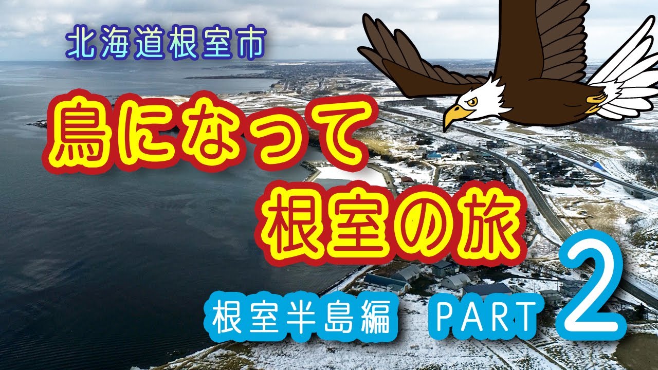 鳥になって根室の旅 根室半島編 Part2 Youtube