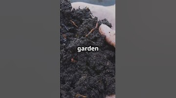 Easy Composting Setup for Your Garden