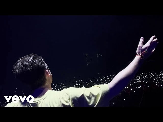 Martin Solveig - Paradise (Visualiser)