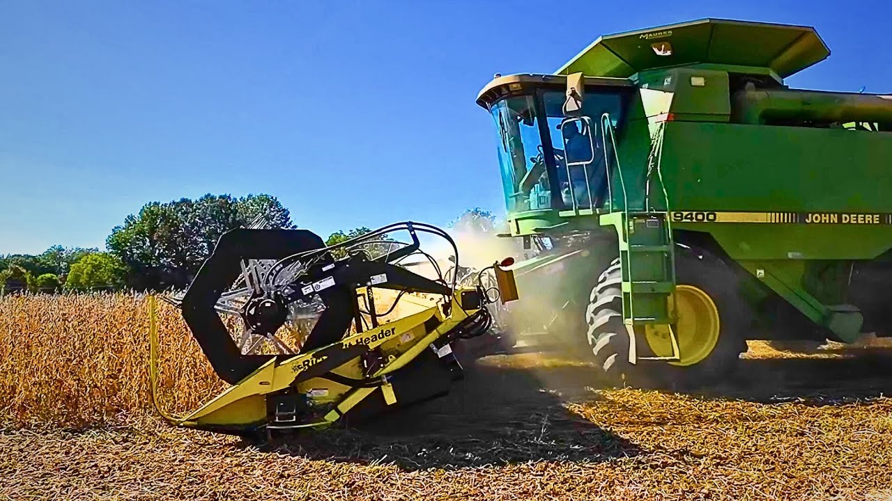 "Pleasant Surprise"--- Double Crop Soybeans (Soybean Harvest #7) 10/18/23