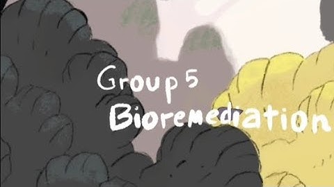 Soil Remediation Technology : Biopile