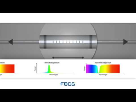 FBG Sensor Principle