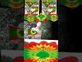 Sirba Artisti Kadirmartu Lal WBO Ja Uu Kana Itiin Boohara 