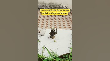 इन पांच वृक्षों के नीचे बैठकर मंत्र जाप करने से हजार गुना फल मिलता है!!#tree #pradeepmishra #mantra