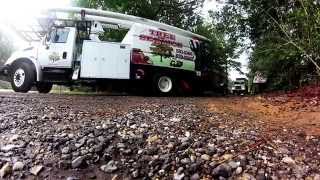 tree removal cost stump grinding
