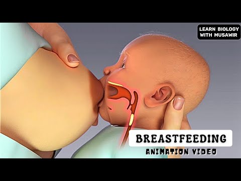 Breastfeeding Animation Video @LearnWithMusawir
