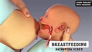 Breastfeeding Animation Video @LearnWithMusawir