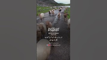 سورة الحج رعد الكردي ٣٧