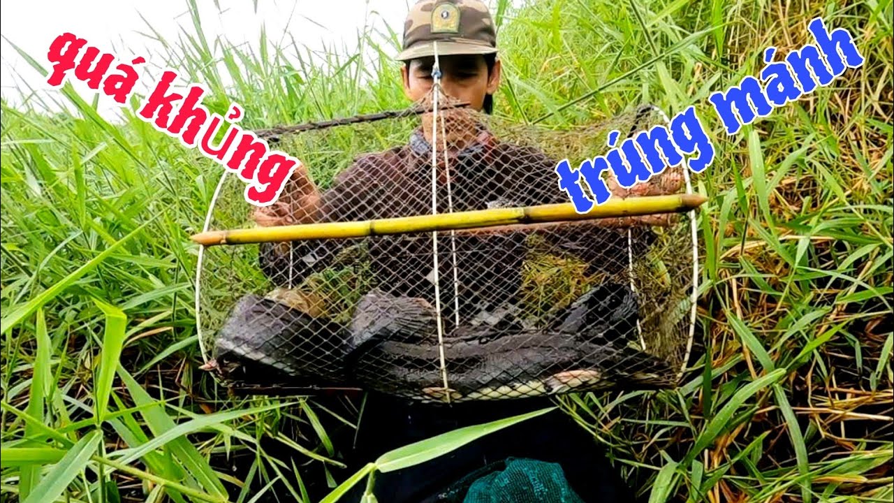 Thăm Cái Lờ Cá Vô Rinh Không Nổi Trúng Lớn