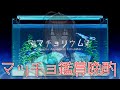 【マチョリウム】マッチョを鑑賞しながら晩酌雑談【天錠ハルト】【石谷春貴】