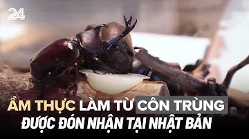 Ẩm thực làm từ côn trùng được đón nhận tại Nhật Bản | VTV24