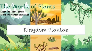 Kingdom Plantae 🌿| Full Guide to Plant Classification #Bryophytes # ferns #gymnosperms #angiosperms