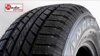 Goodyear Wrangler HP All Weather