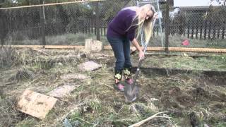 Riverbank homeowners find tombstones in back yard