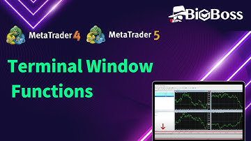 BigBoss - MT4 Terminal Window Functions