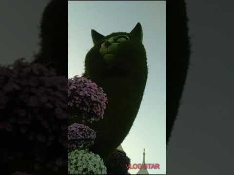 Dubai Miracle Garden