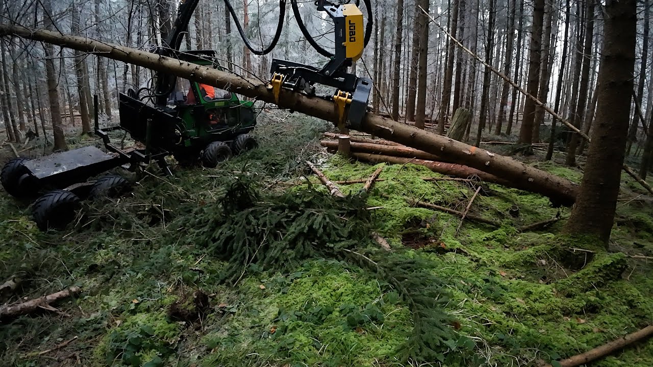 Mini Harvester im Forsteinsatz 🇨🇭🪓🌲