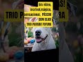 #trioparadafofura #cachorros #petsfofinhos #pets #piadasrapidas #memes #piadascurtas