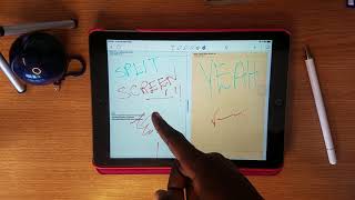 How to Split Screen for Multi-notes opening & Studying in Notability