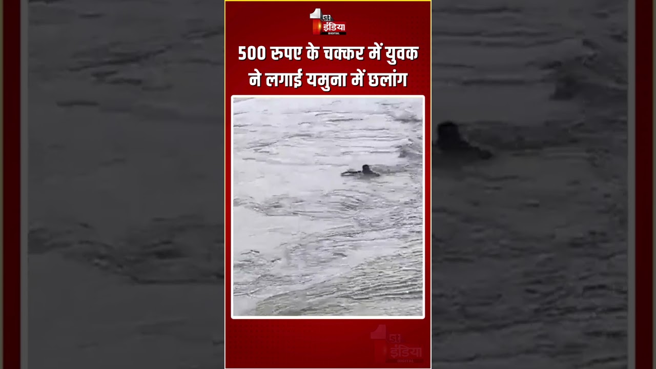 Man Jumped Into The Yamuna River: 500 रुपए के चक्कर में युवक ने लगाई नदी में छलांग | Viral Video |UP