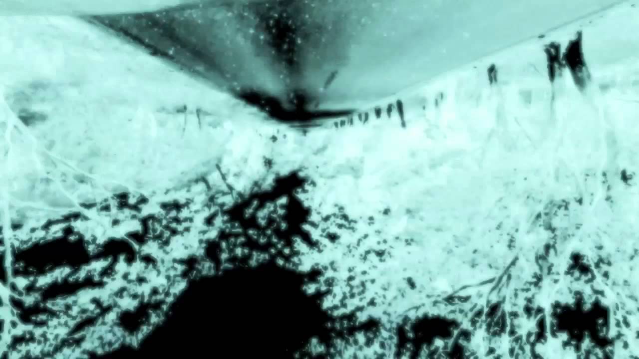 Obejrzyj MULA - Las Redadas w YouTube Obejrzyj MULA - Las Redadas w YouTube