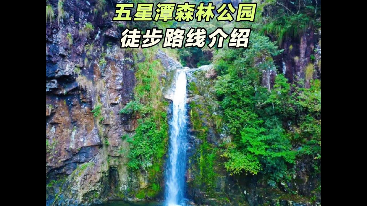 这是温州最美的徒步路线之一，六公里的路线上竟然藏着十几条瀑布，这就是永嘉五星潭森林公园徒步路线，这是条新手小白路线，也非常适合亲子徒步。