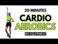 20 Min Fun Cardio Aerobics Workout 🔥 Dance Fitness for Weight Loss | At Home Fat Burn