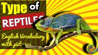 Reptiles and Amphibians Names in English | Reptiles and Amphibians English Vocabulary with Pictures