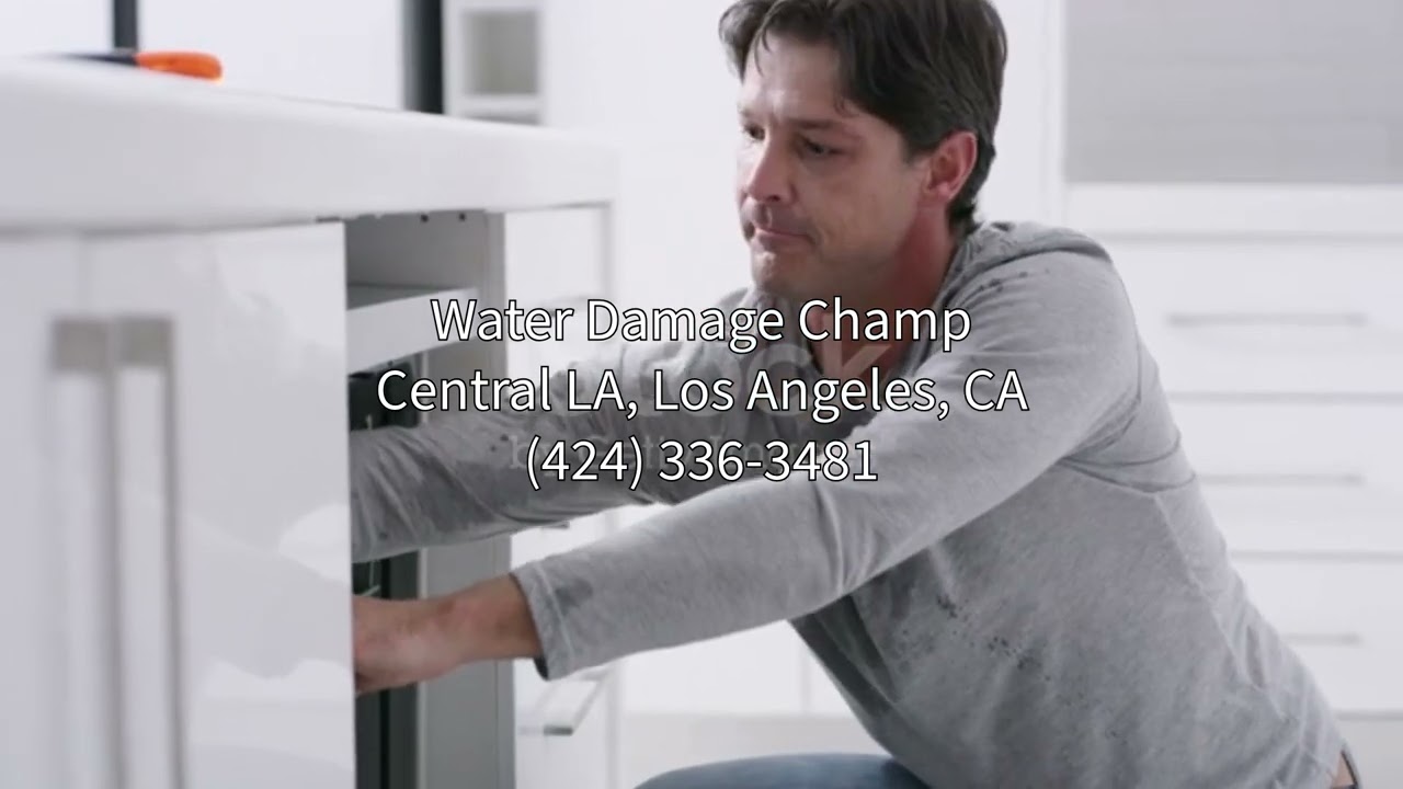 Water Damage Restoration Central LA Los Angeles CA | Water Damage Champ